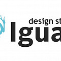 Iguana design studio
