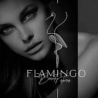 "Flamingo" beauty studio